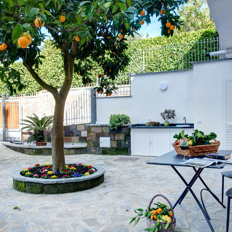 The Orange Country Home