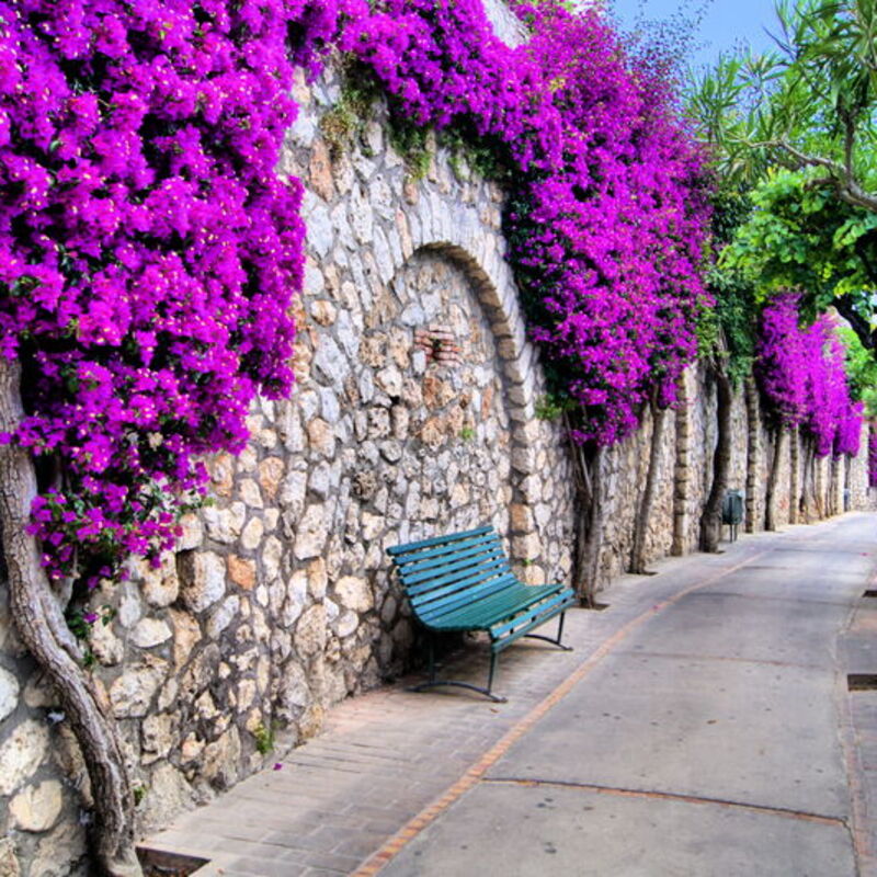 Caruso 4 - Sorrento Urban Delta