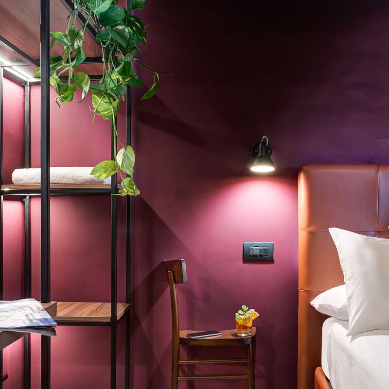 Carusotto - Homeostasis Sorrento