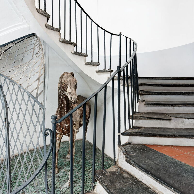 Nilo's Flat Historical Center - Spaccanapoli