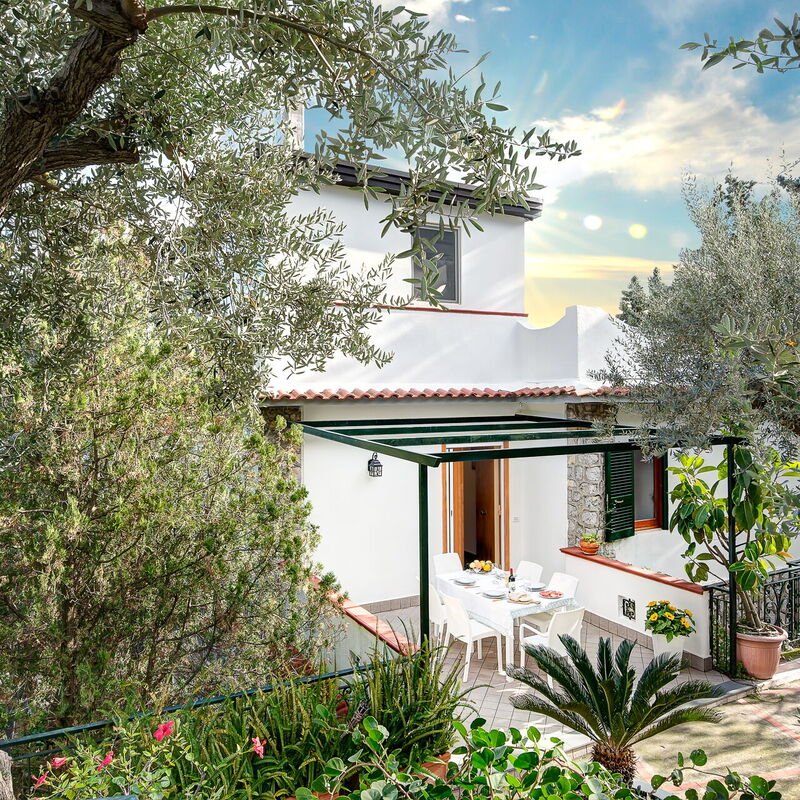 Casa Maradona - Surrounded By Blue Waters And Olive Groves